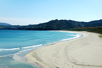 写真:大岐の浜